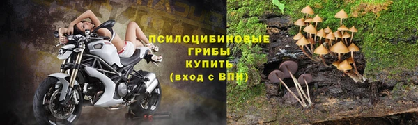 гашик Абдулино