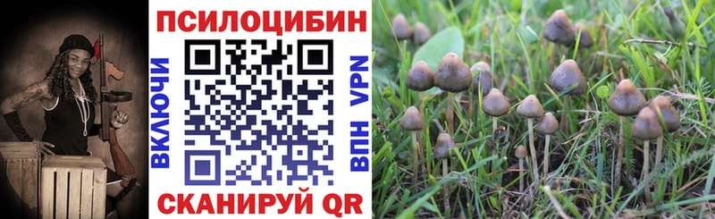 Псилоцибиновые грибы GOLDEN TEACHER  Южноуральск 