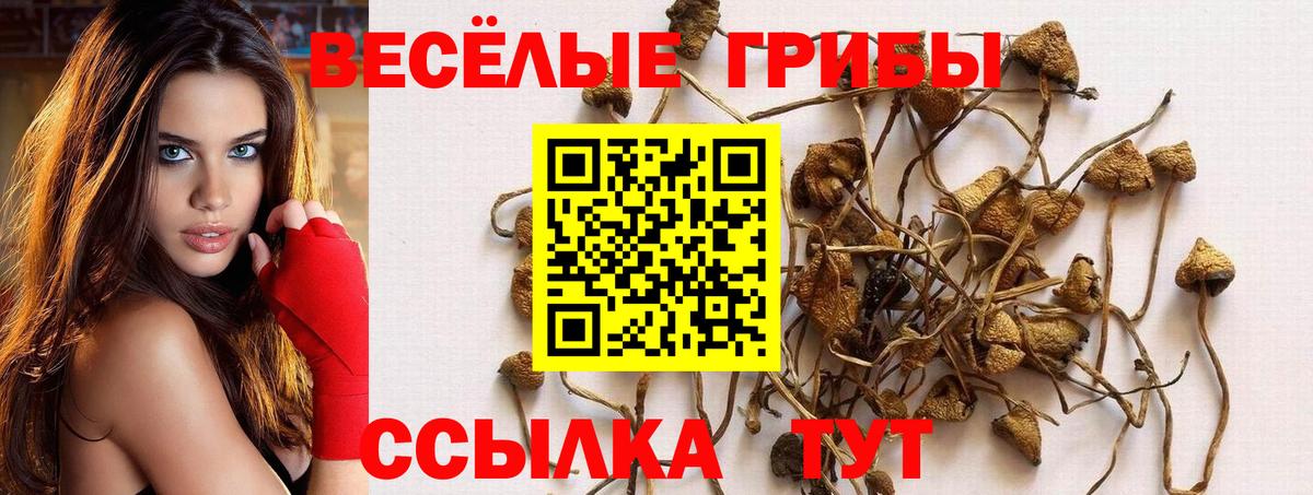 Галлюциногенные грибы ЛСД  Вход с VPN  Псилоцибиновые грибы Psilocybine cubensis  Южноуральск 